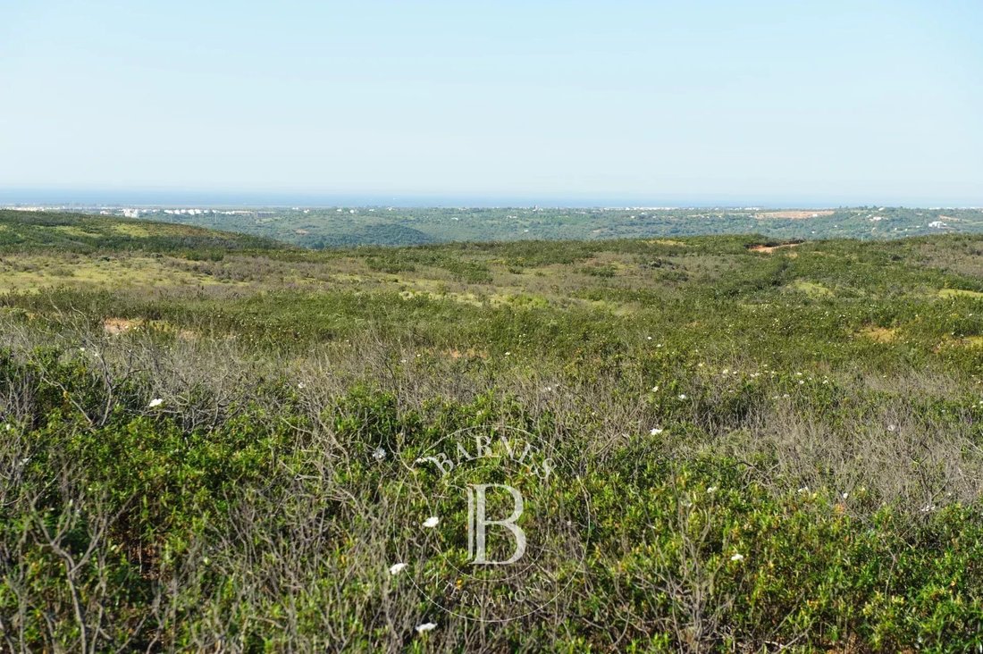 Land in Tavira (Santa Maria e Santiago), Algarve, Portugal 2 - 14267677