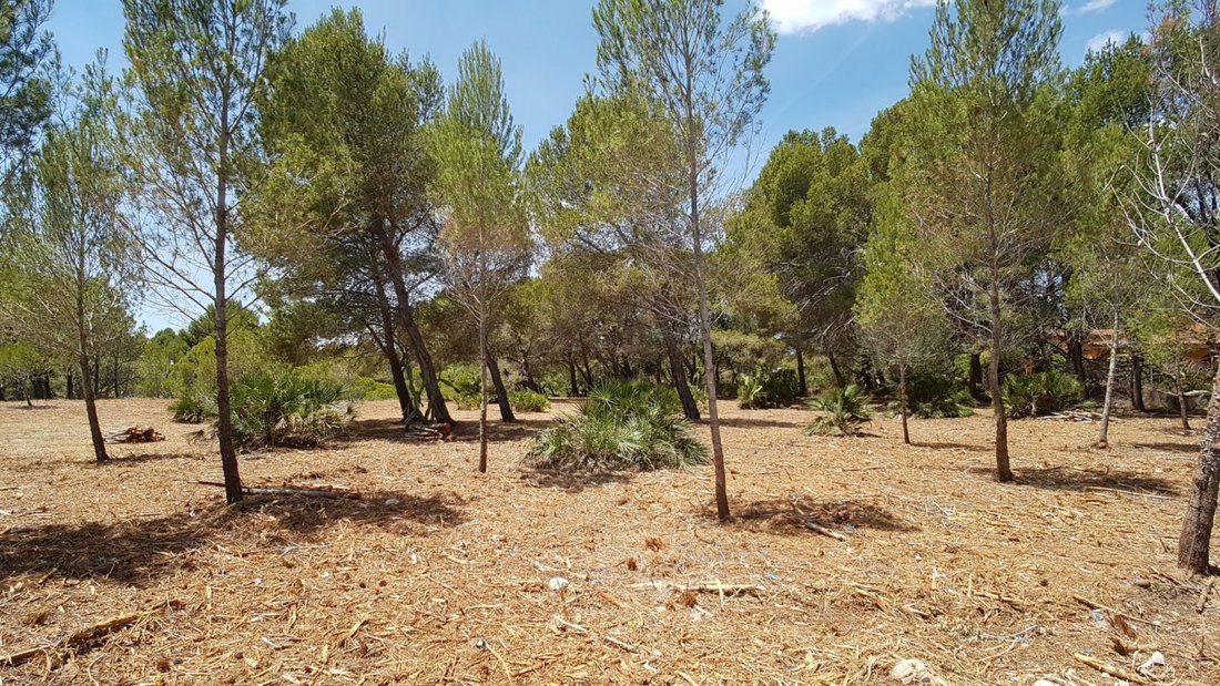 Land in l'Ametlla de Mar, Catalonia, Spain 5 - 15192161