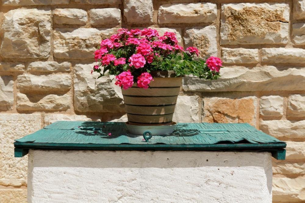 Opcina Smokvica, Dubrovnik-Neretva County, Croatia 5 - 13307878