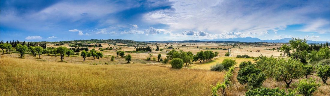 Land in Manacor, Balearic Islands, Spain 2 - 15196021