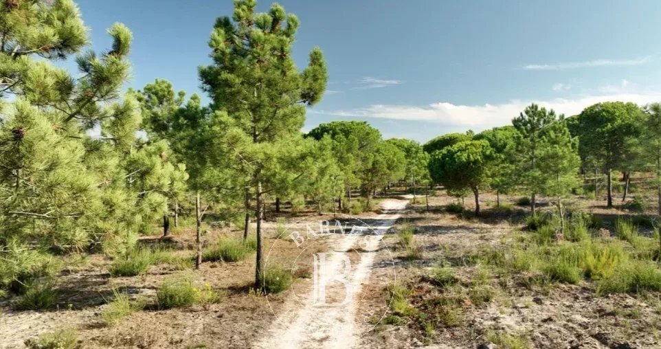 Azienda agricola a Sesimbra (Castelo), Setúbal Municipality, Portogallo 2 - 14473565