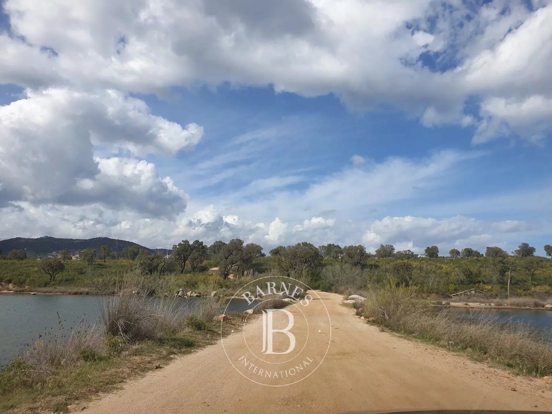 Land in Sainte-Lucie-de-Porto-Vecchio, Corsica, France 1 - 12876857