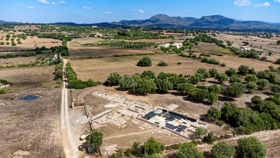 Land in Manacor, Balearic Islands, Spain 1 - 15196021