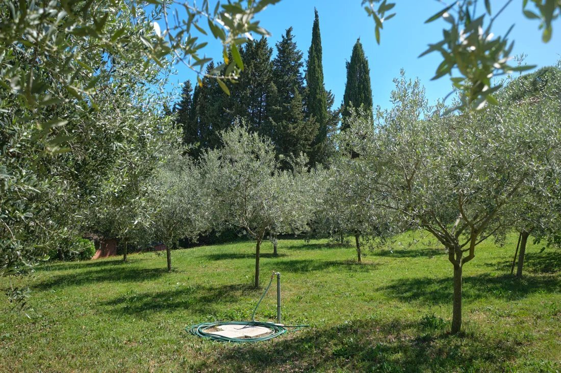 House in Mougins, Provence-Alpes-Côte d'Azur, France 5 - 13959748