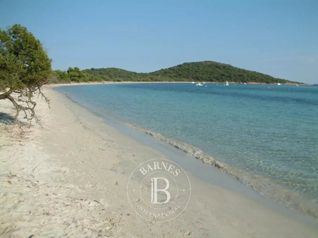 Land in Sainte-Lucie-de-Porto-Vecchio, Corsica, France 2 - 14254642