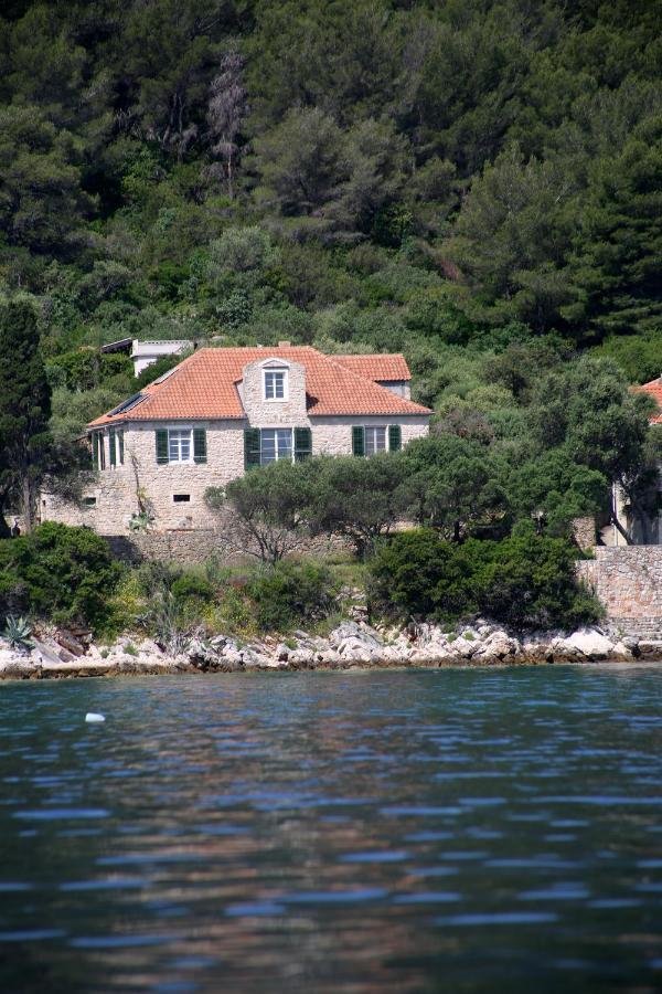 Villa in Starigrad, Zadar County, Croatia 4 - 10594707