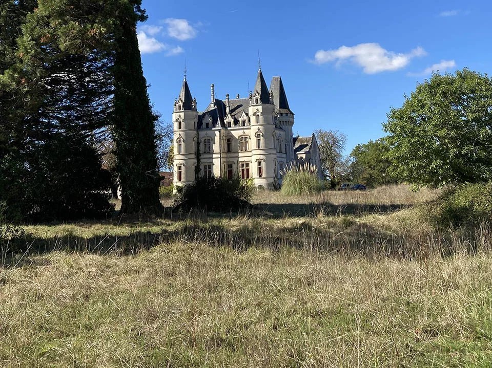 Castle in Saint Hilaire, Barbezieux-Saint-Hilaire, France 4 - 13228215