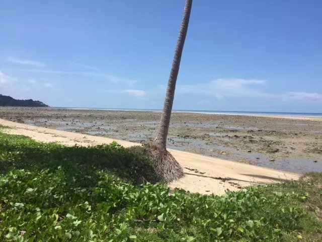 Terreno en Koh Samui, Provincia de Surat Thani, Tailandia 1 - 12157925
