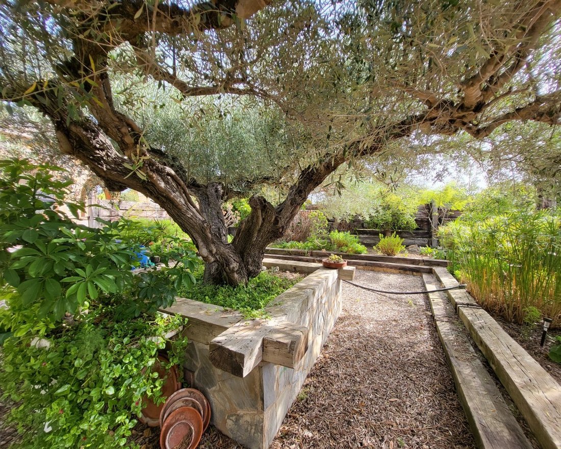 Casa di campagna a L'Ametlla de Mar, Catalogna, Spagna 4 - 15192278