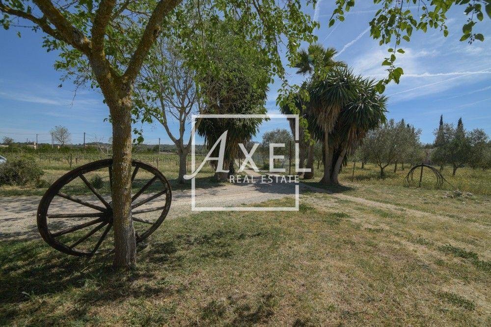 House in Sencelles, Balearic Islands, Spain 2 - 15190308