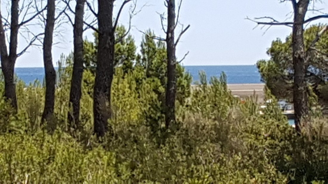 Land in l'Ametlla de Mar, Catalonia, Spain 1 - 15192161
