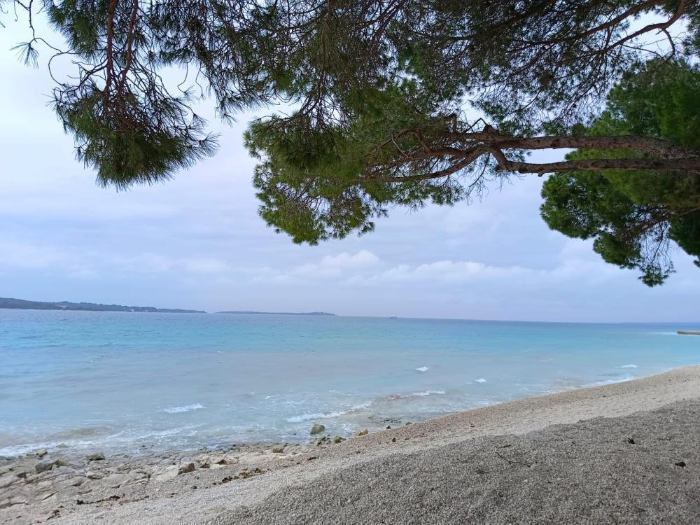 Villa in Fazana, Istria County, Croatia 5 - 12936989
