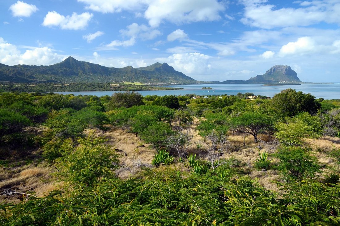 Land in Black River, Rivière Noire District, Mauritius 2 - 13578085