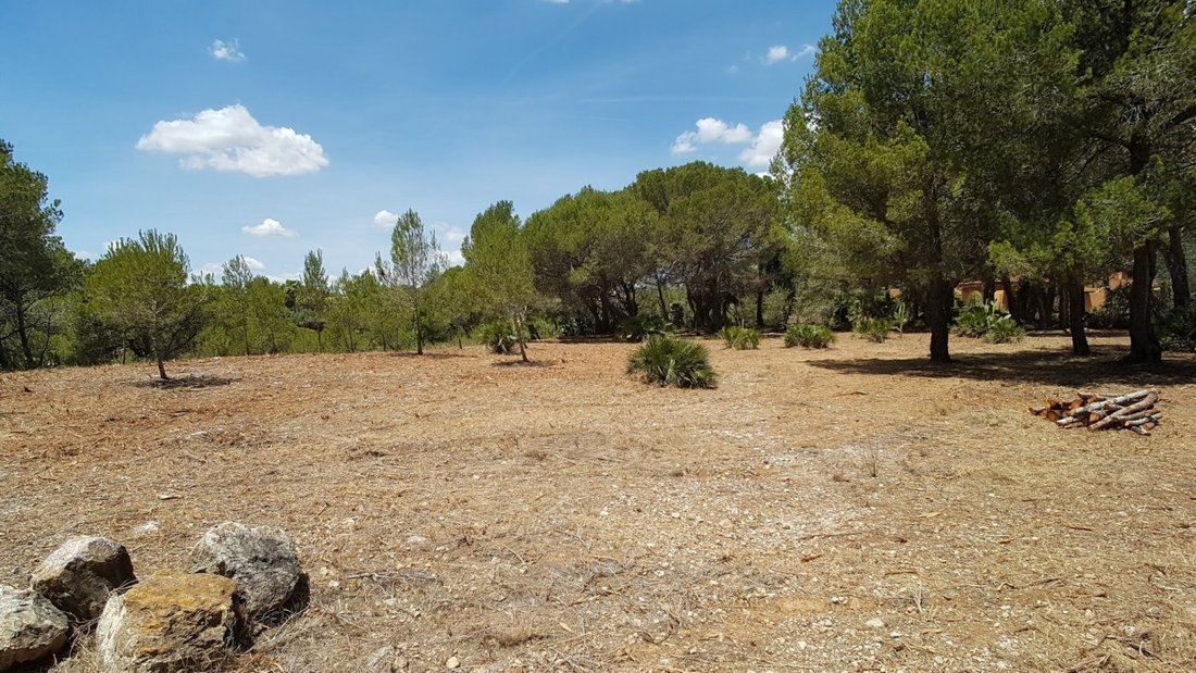 Land in l'Ametlla de Mar, Catalonia, Spain 4 - 15192161