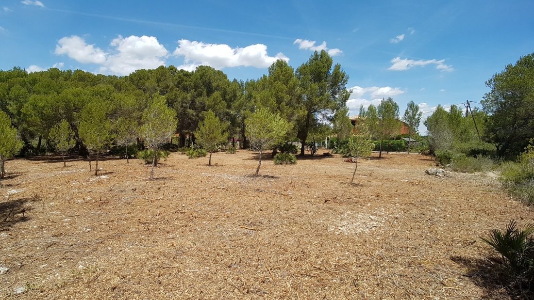 Land in l'Ametlla de Mar, Catalonia, Spain 2 - 15192161