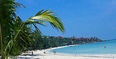 Land in Bangkok, Bangkok, Thailand 1 - 12160145