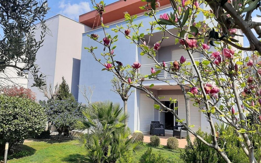 Grljevac, Split-Dalmatia County, Croatia 5 - 12936530