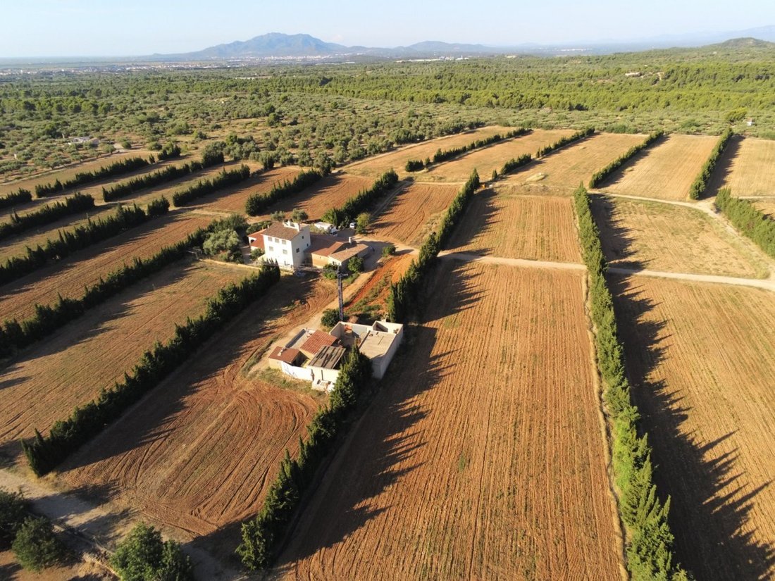 Country House in Camarles, Catalonia, Spain 1 - 15192377