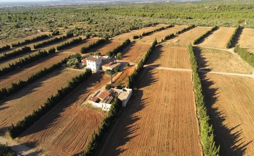 Country House in Camarles, Catalonia, Spain 1
