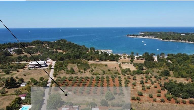Villa in Porec, Istria County, Croatia 1 - 13018735