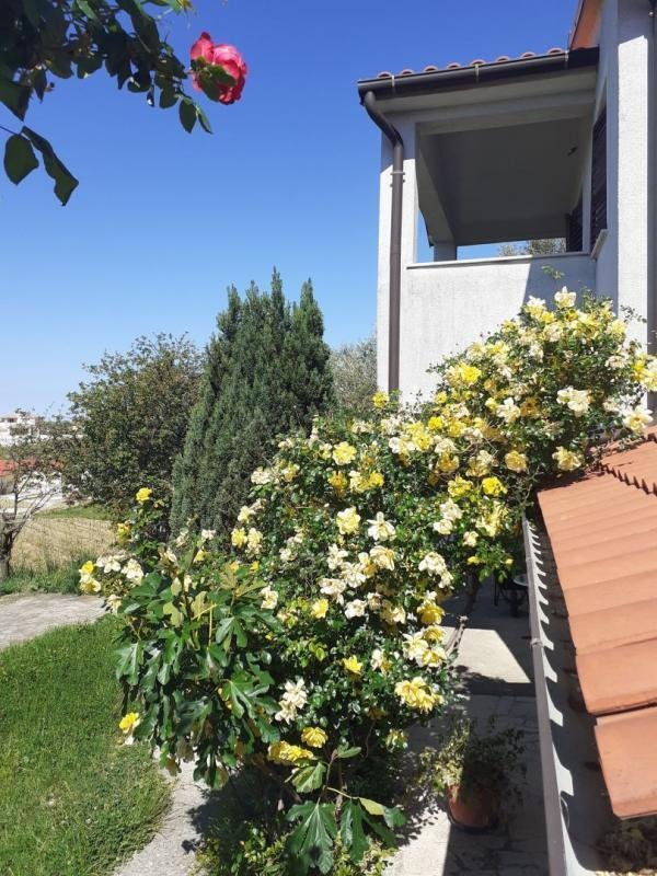 Vizinada, Istria County, Croatia 3 - 12504534