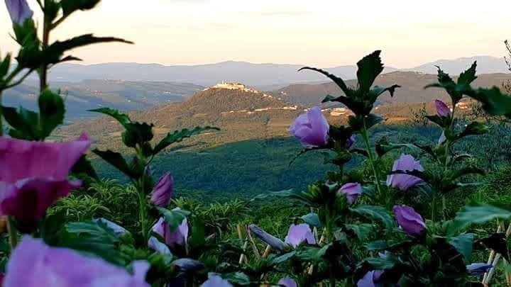 Vizinada, Istria County, Croatia 2 - 12504534