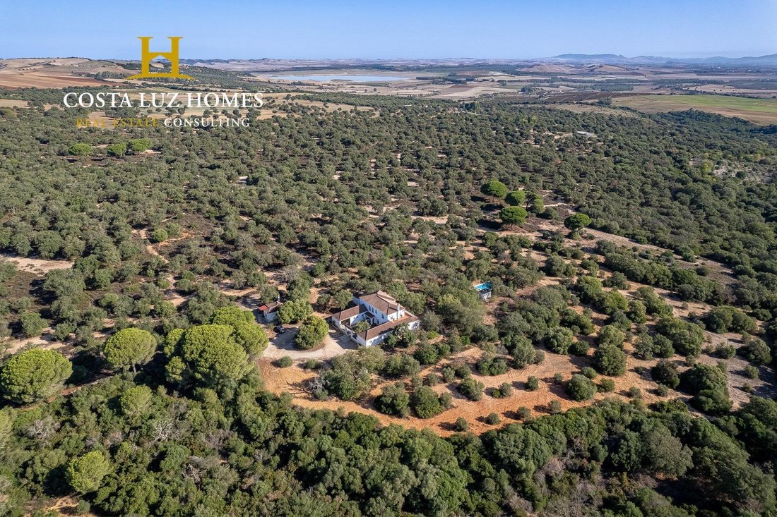 Finca in Arcos de la Frontera, Andalusia, Spain 3 - 15192067