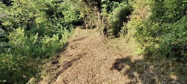 Land in Grasse, Provence-Alpes-Côte d'Azur, France 4 - 11567807