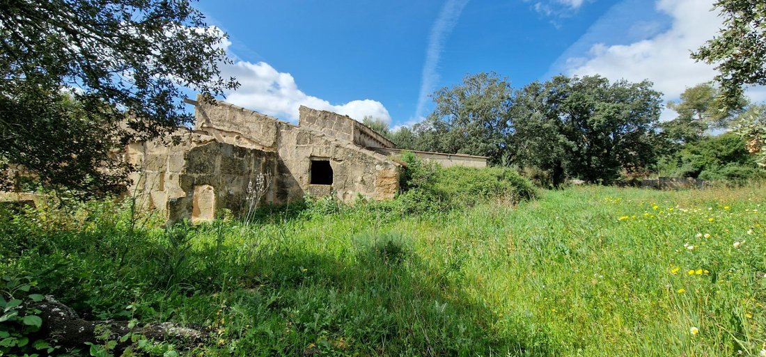 Country House in Manacor, Balearic Islands, Spain 2 - 15192263