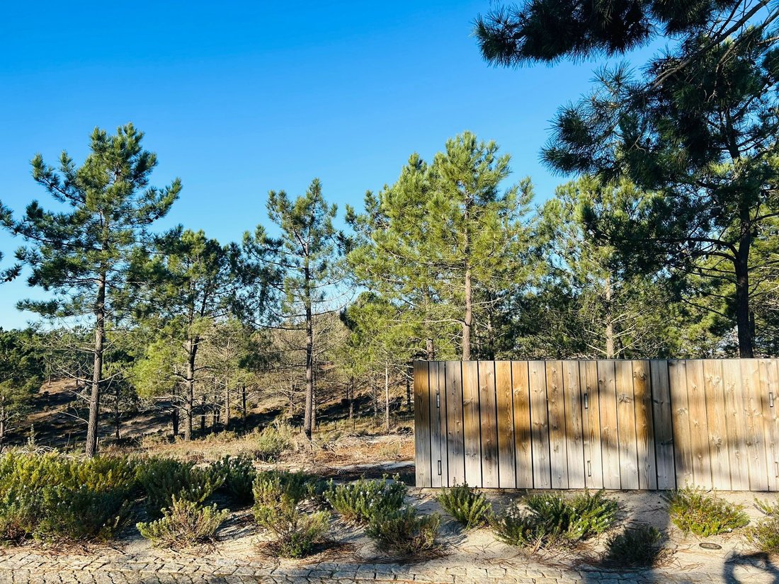 Land in Carvalhal, Setubal, Portugal 4 - 15189127