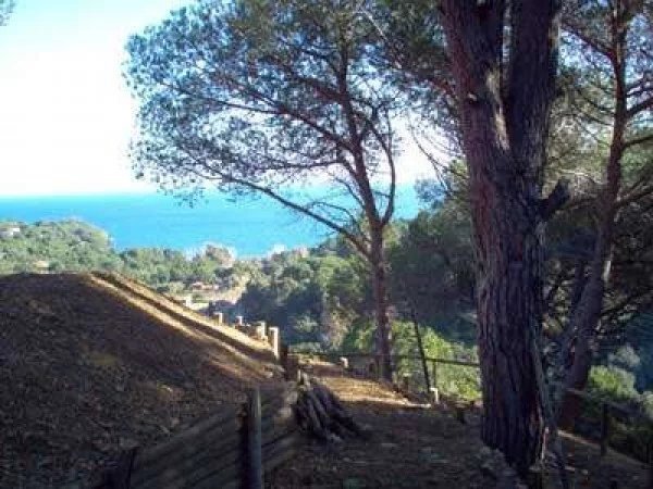 Villa in Capoliveri, Tuscany, Italy 4 - 12239348