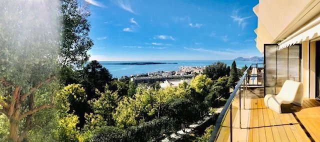 Villa in Cannes, Provence-Alpes-Côte d'Azur, France 4 - 12113016