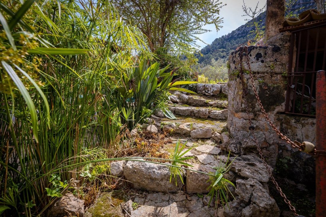 Villa in Pollenca, Balearic Islands, Spain 2 - 15192002