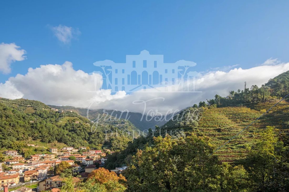 Villa in Cerreto - Palatina - Piazza, Montignoso, Tuscany 5 - 11507789