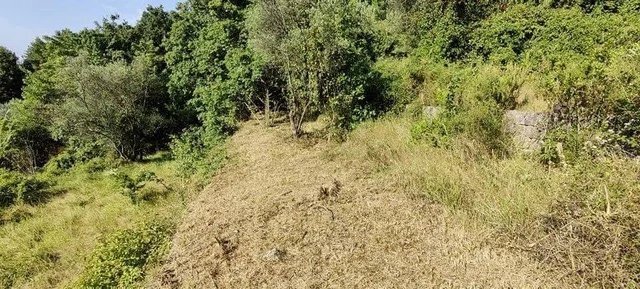 Land in Grasse, Provence-Alpes-Côte d'Azur, France 2 - 11567807