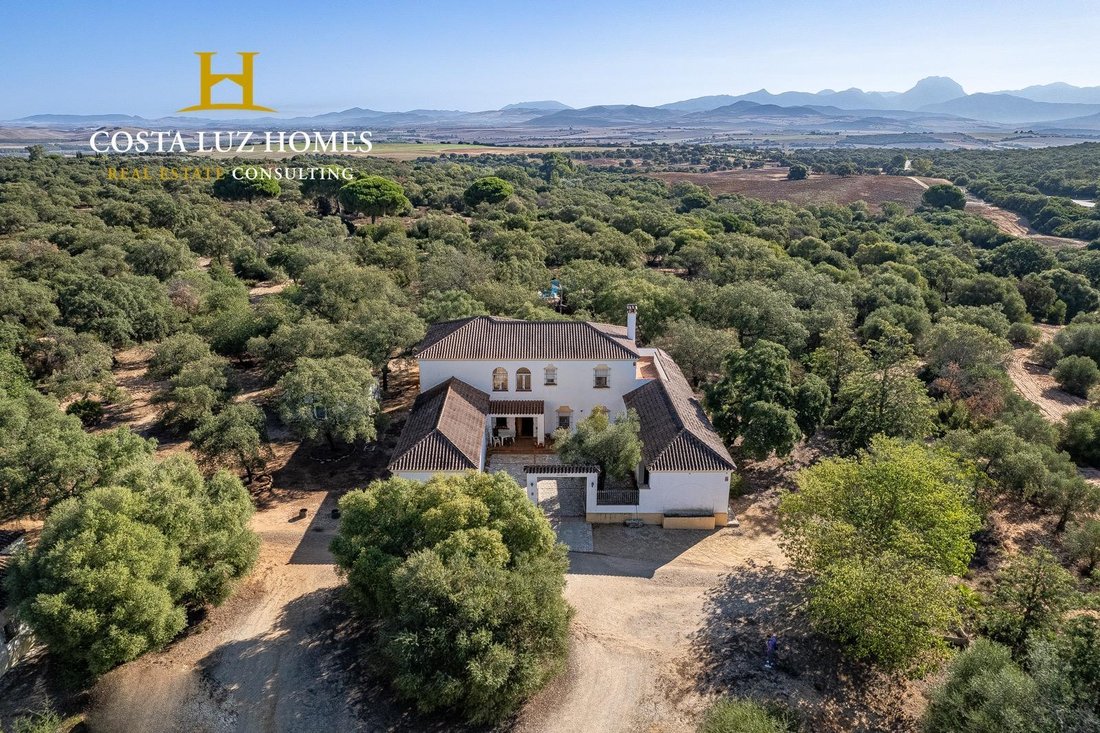 Finca in Arcos de la Frontera, Andalusia, Spain 2 - 15192067