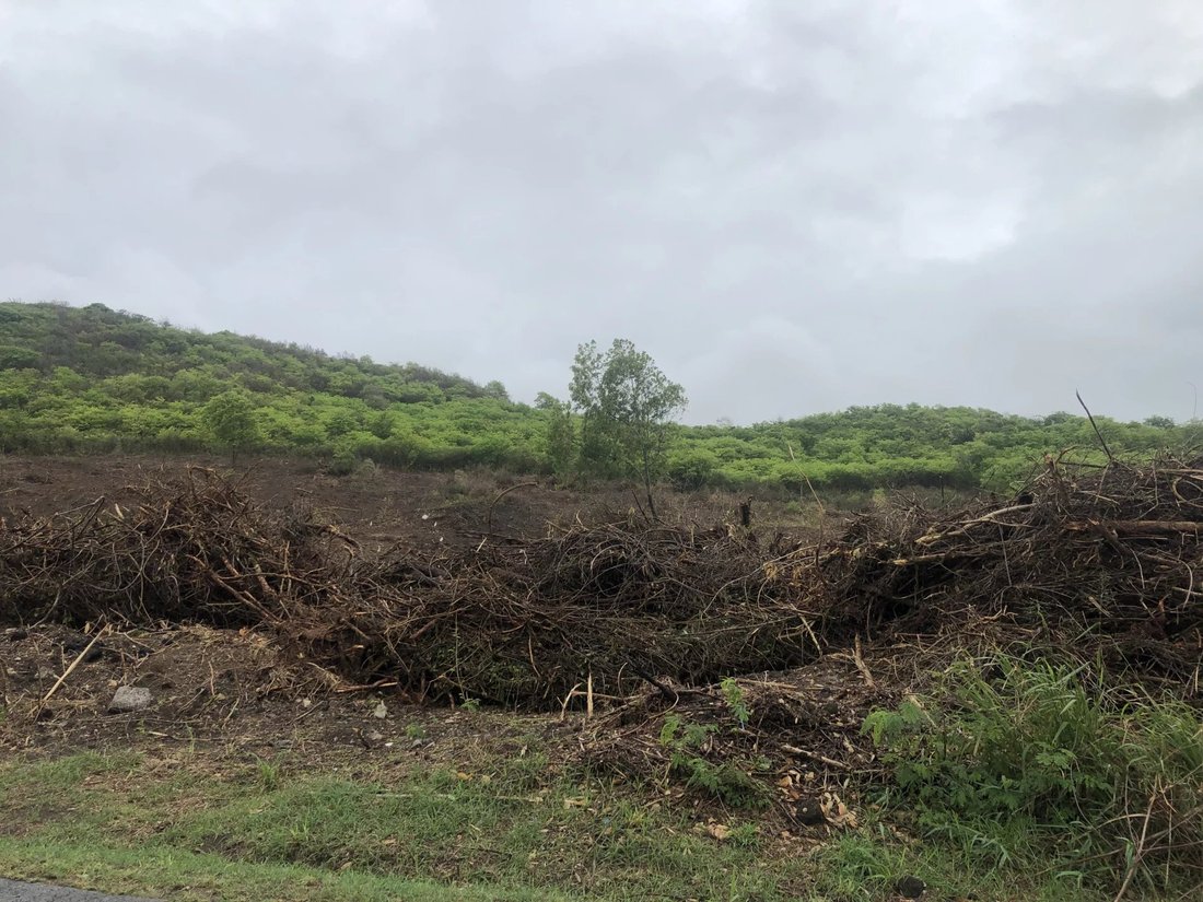 Land in Le Marin, Le Marin, Martinique 2 - 12160498
