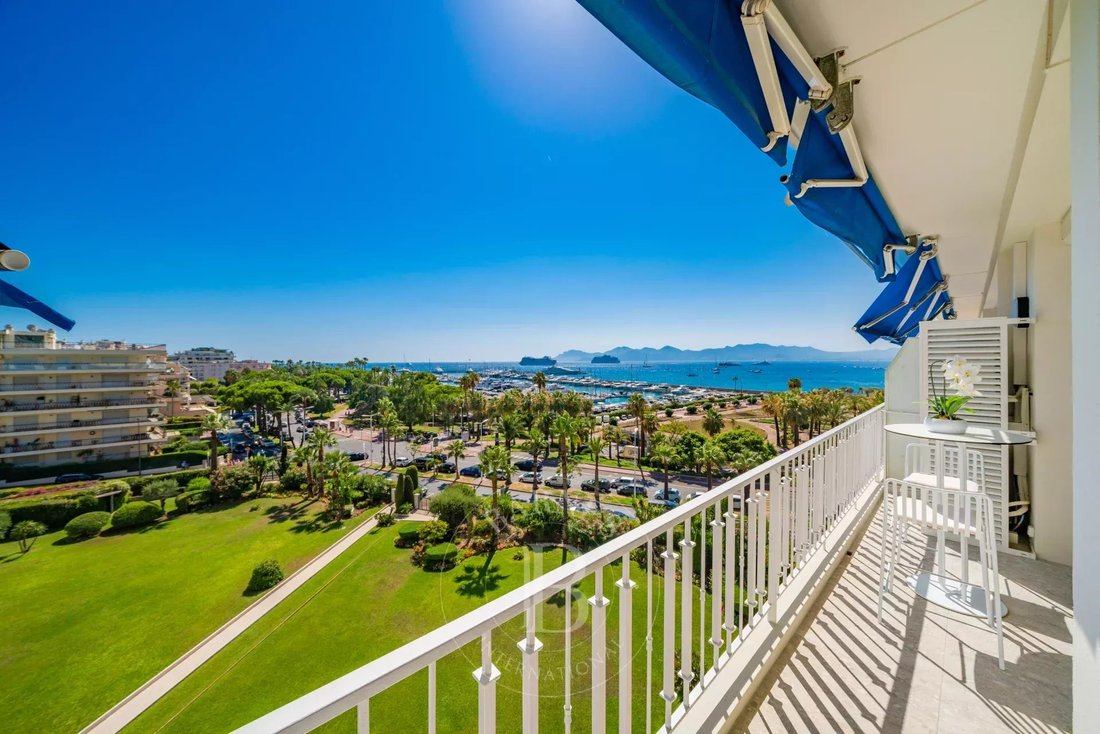 Apartment in Cannes, Provence-Alpes-Côte d'Azur, France 3 - 13579562