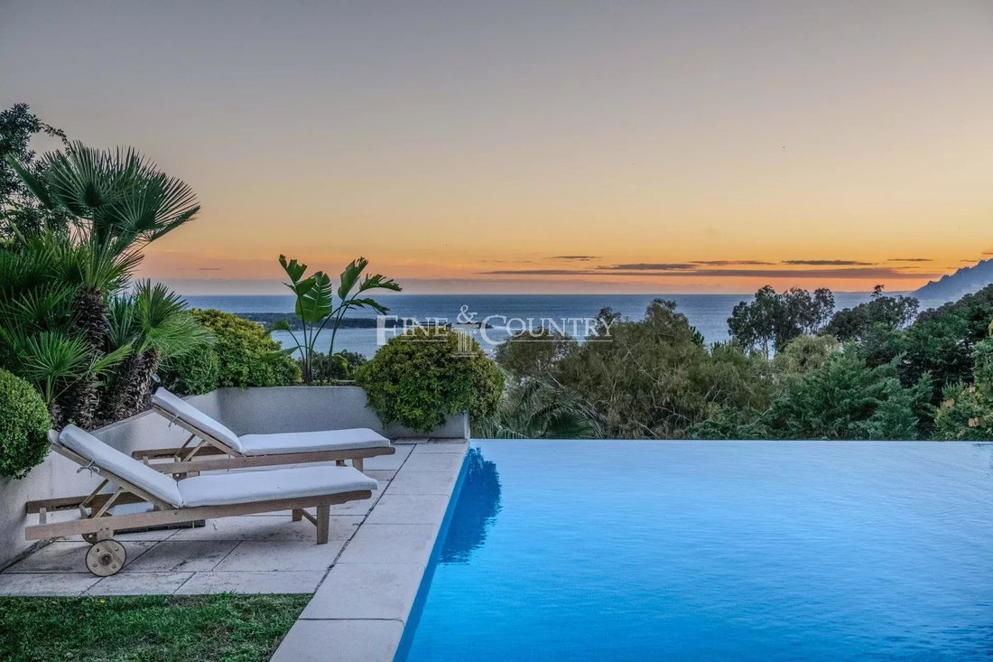 Villa in La Maure-Super Cannes, Vallauris, France 2 - 13456906