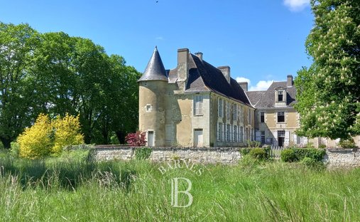 Castle in Lencloître, Nouvelle-Aquitaine, France 1