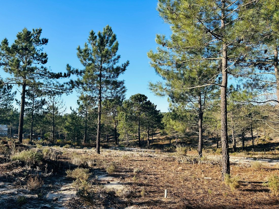 Land in Carvalhal, Setubal, Portugal 3 - 15189127