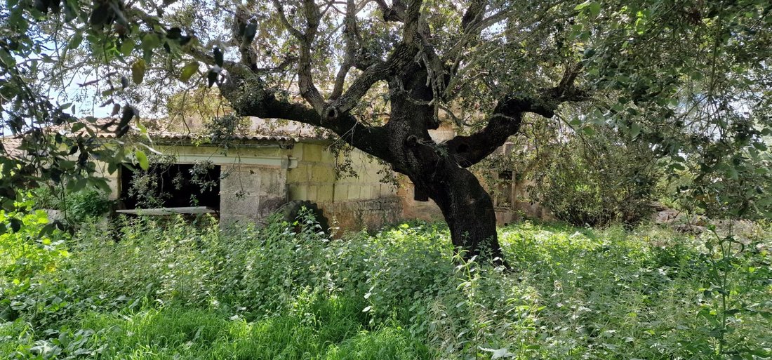 Country House in Manacor, Balearic Islands, Spain 4 - 15192263