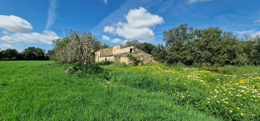 Country House in Manacor, Balearic Islands, Spain 1 - 15192263