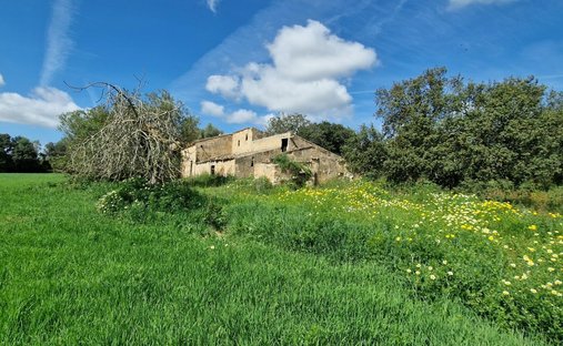 Maisons de campagne à Manacor, Îles Baléares, Espagne 1