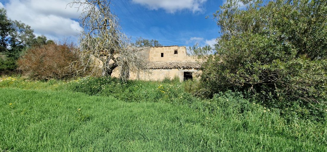 Country House in Manacor, Balearic Islands, Spain 3 - 15192263