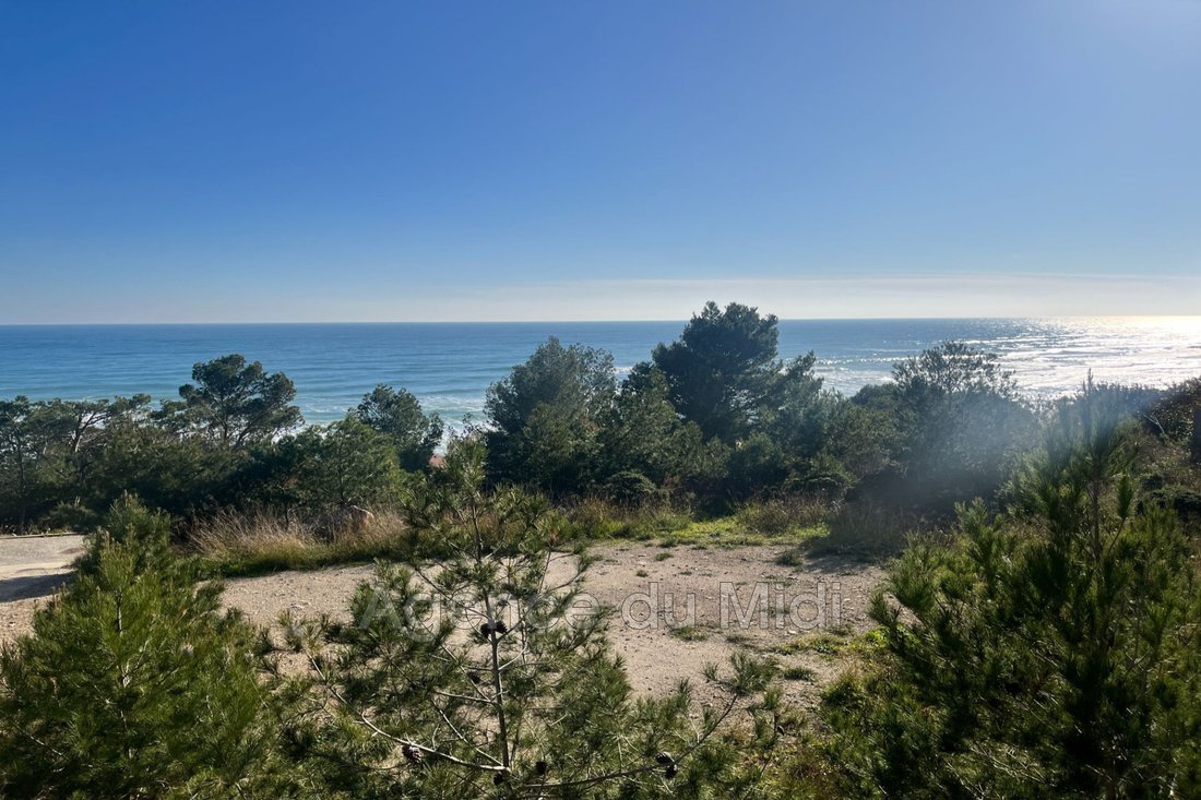 Land in Leucate, Occitania, France 4 - 15200442