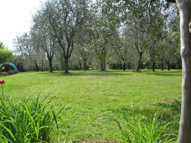 Land in Roe, Lombardy, Italy 5 - 15200581