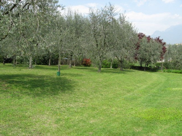 Land in Roe, Lombardy, Italy 4 - 15200581