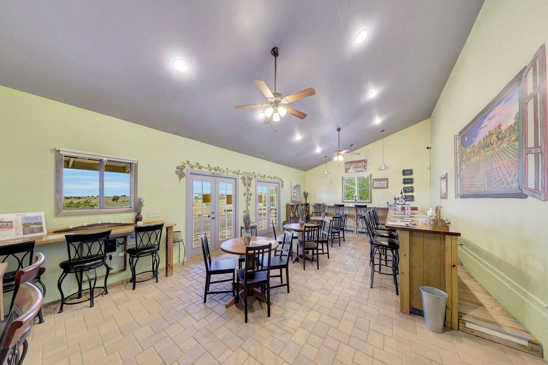 House in Concho, Arizona, United States 3 - 15200208
