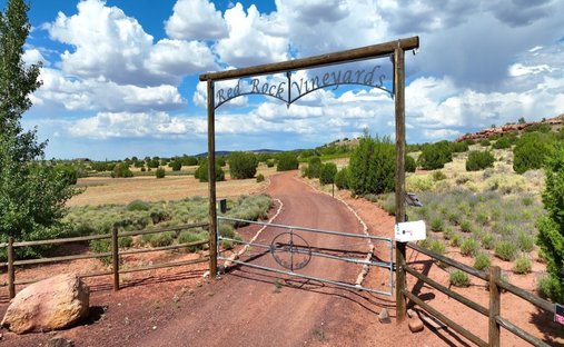 House in Concho, Arizona, United States 1
